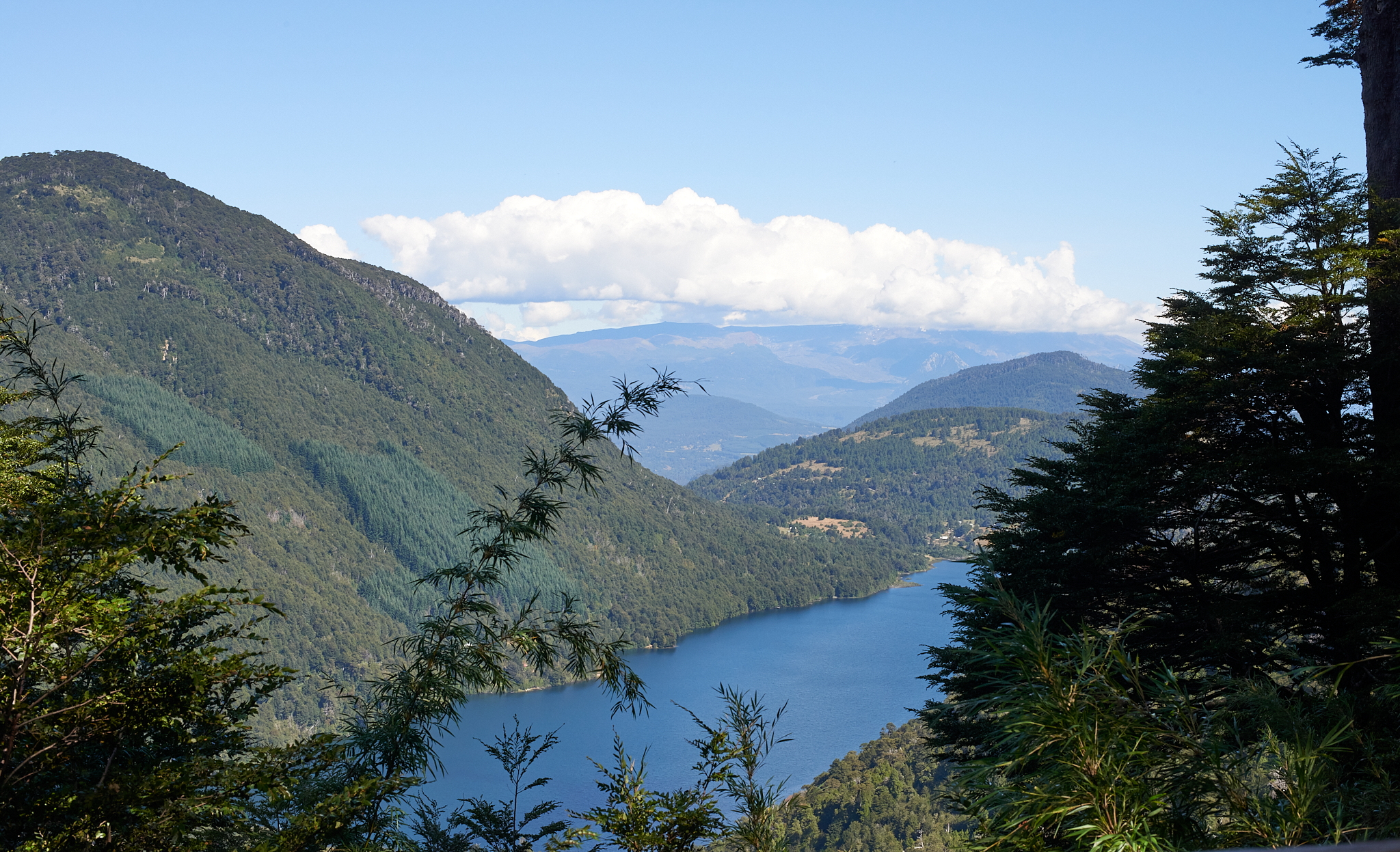 20200317 900 [칠레] 푸콘 우에르케우에 국립공원 트레킹